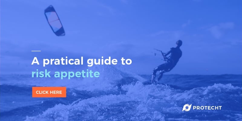Banner_A PRACTICAL GUIDE TO Risk Appetite_1200x600
