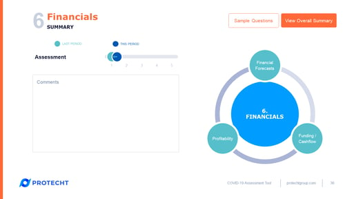 COVID-19-sample-assessment-tool (36)-financials-summary