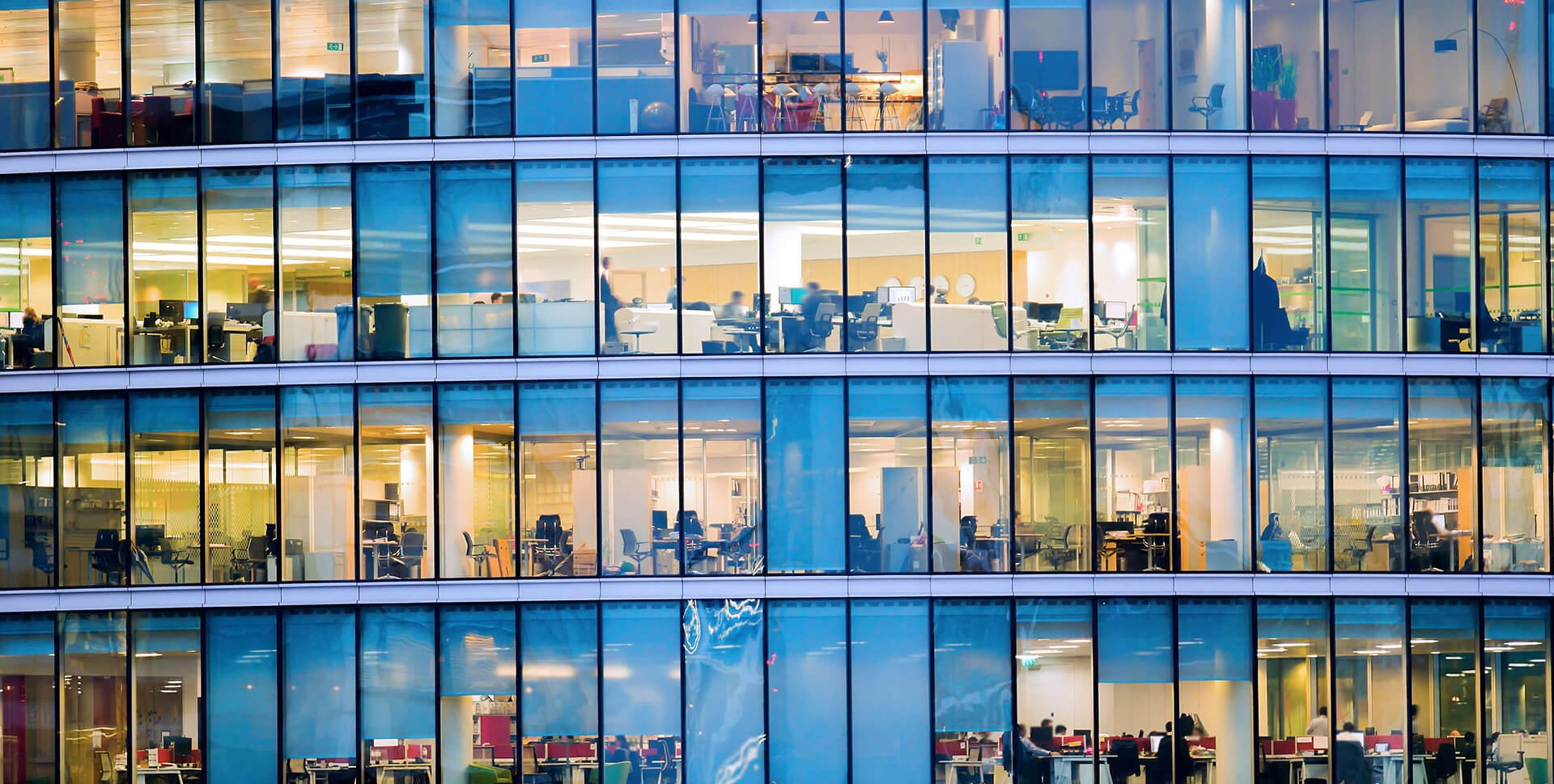 People working in an office building to show Protecht.ERM adoption across the business