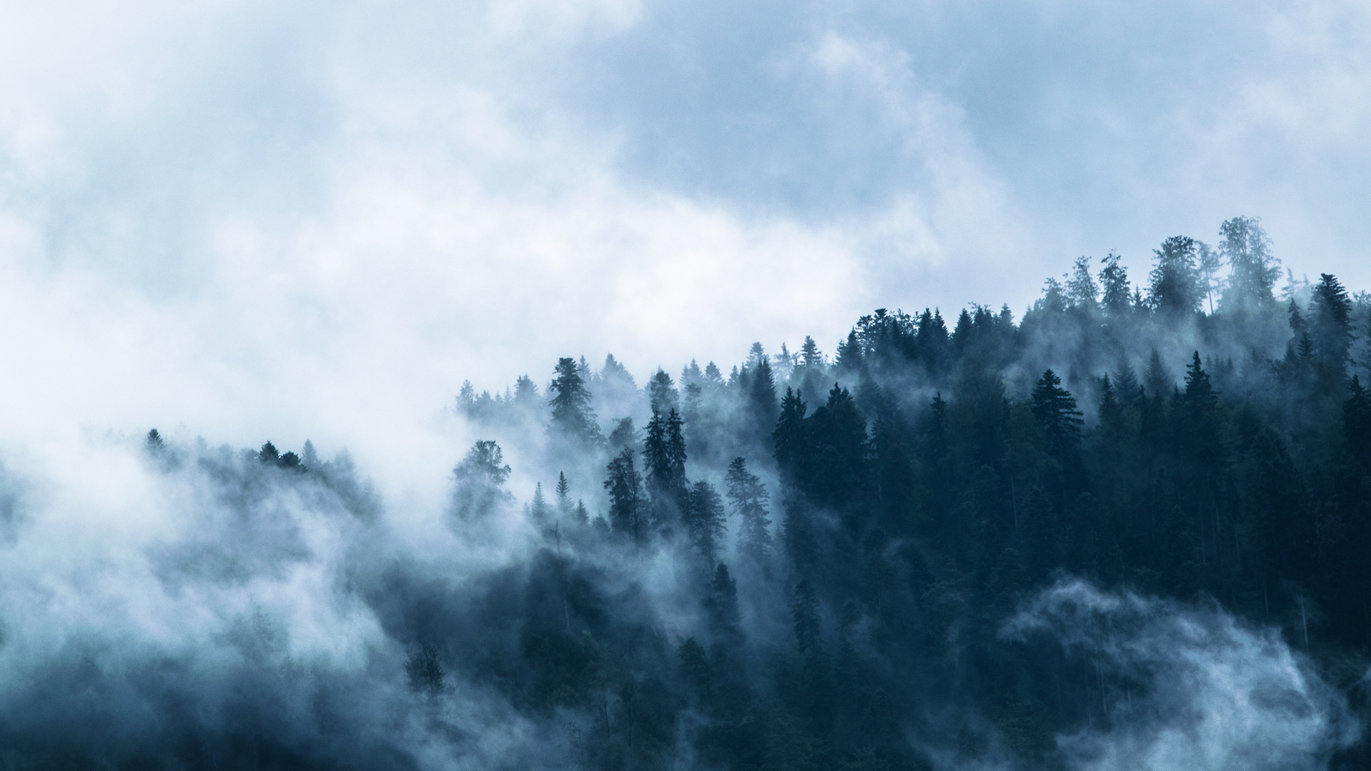 The Agility of Risk Management Software